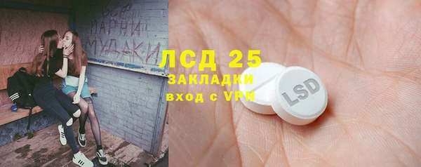 стаф Беломорск