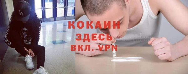 таблы Богородицк