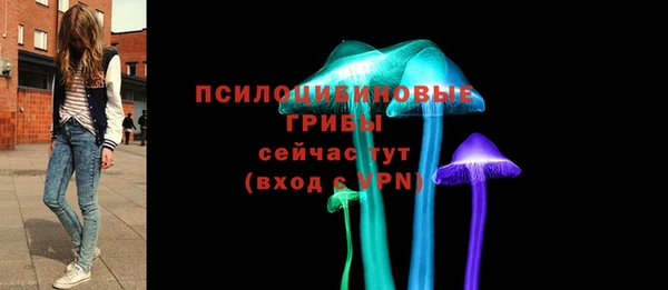 таблы Богородицк