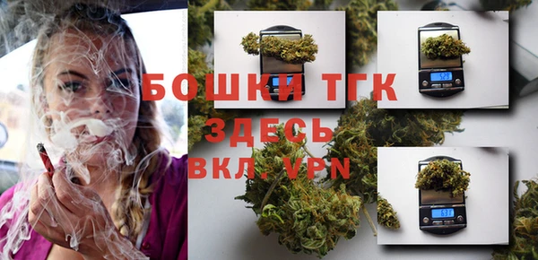 таблы Богородицк