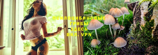 твердый Богородск